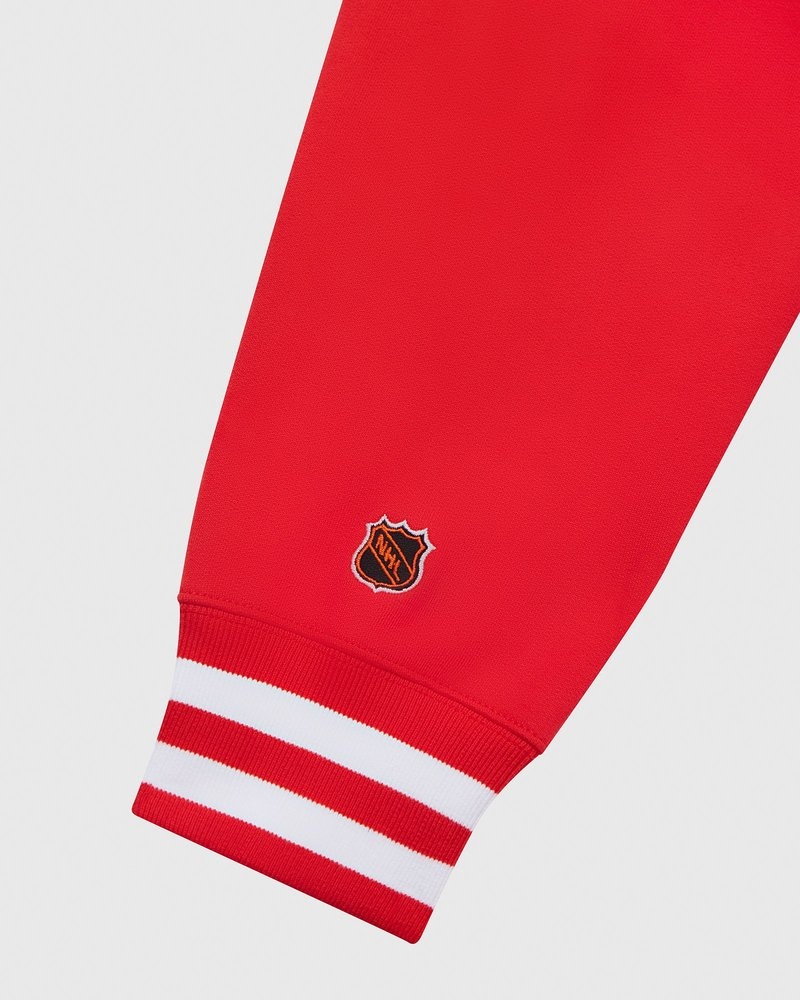 pulls à capuche ovo detroit red wings doctobre