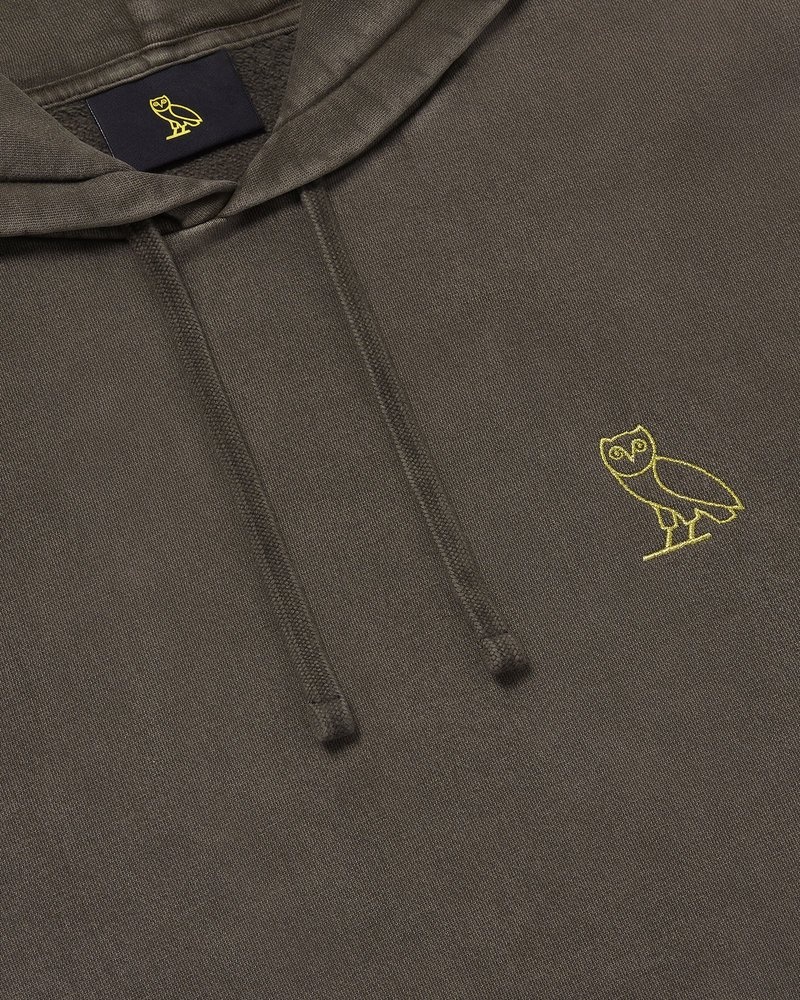 pulls à capuche marron ovo muskoka teinte en pièce collection octobre